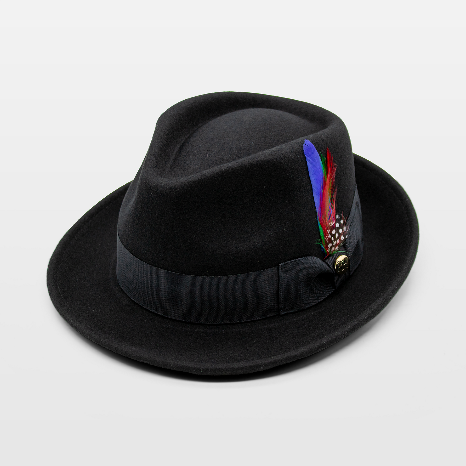 A black fedora hat with a multicolored feather tucked into the grosgrain ribbon band