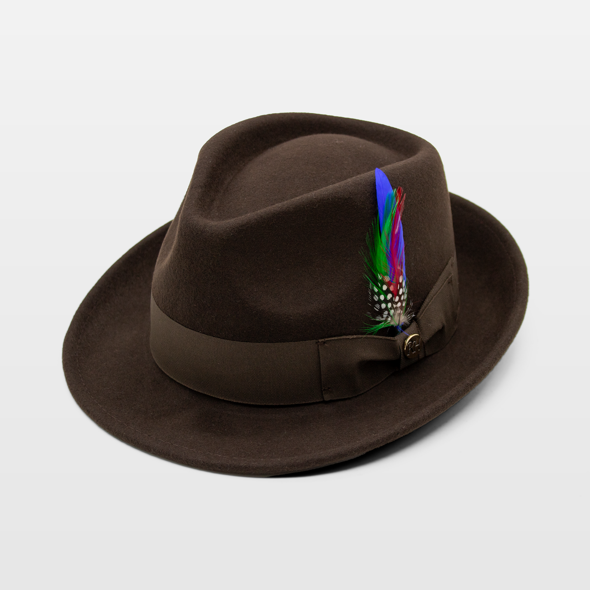 A brown fedora hat with a multicolored feather tucked into the ribbon band