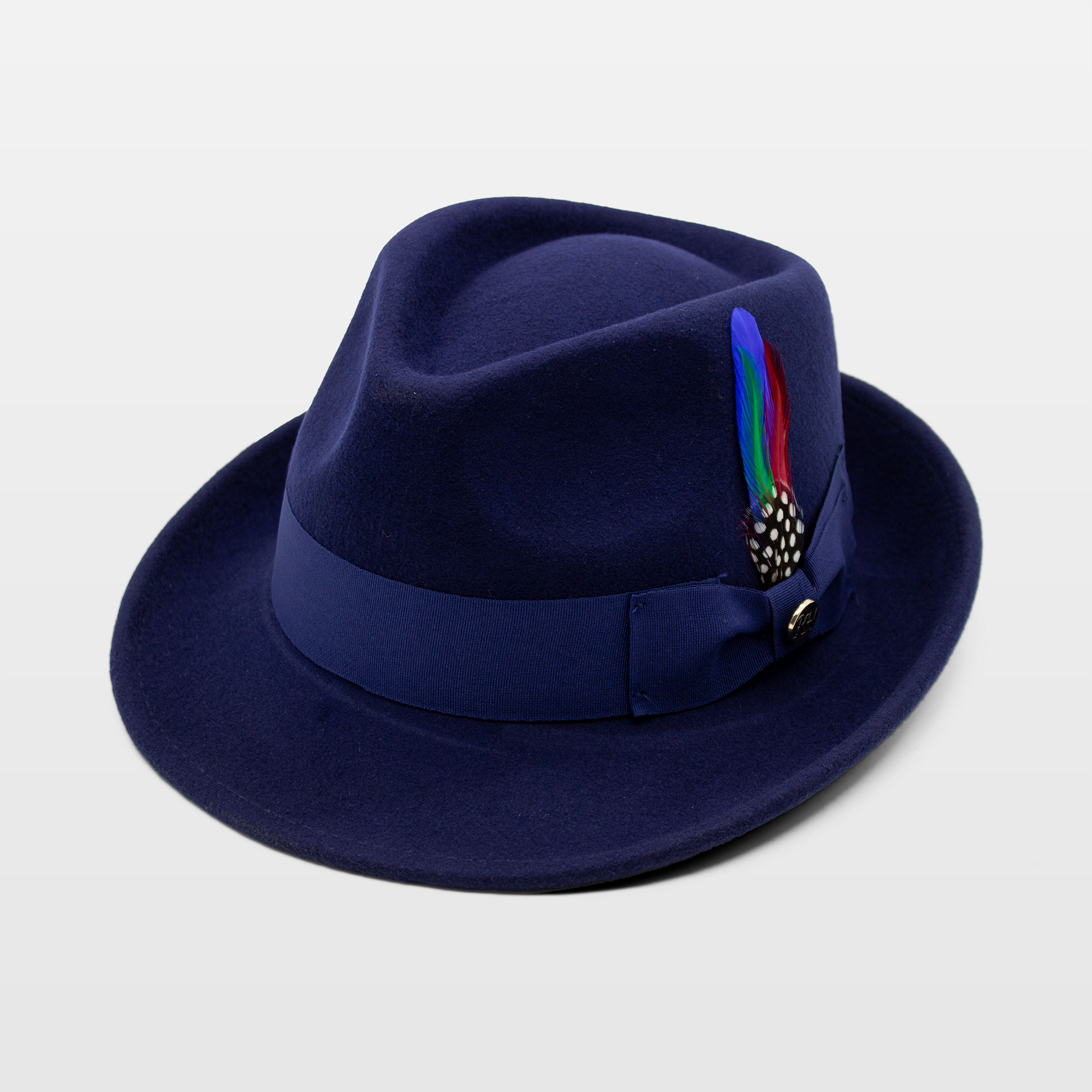 A navy blue fedora hat with a multicolored feather tucked into the ribbon band
