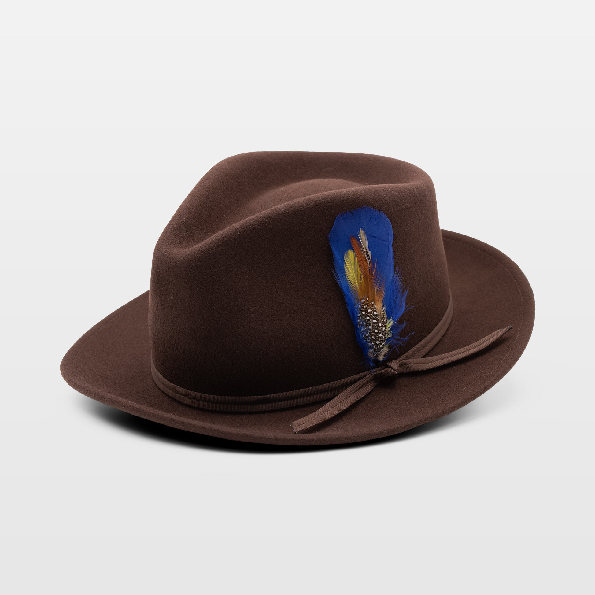 A stylish brown hat with a simple brown band and a decorative blue feather