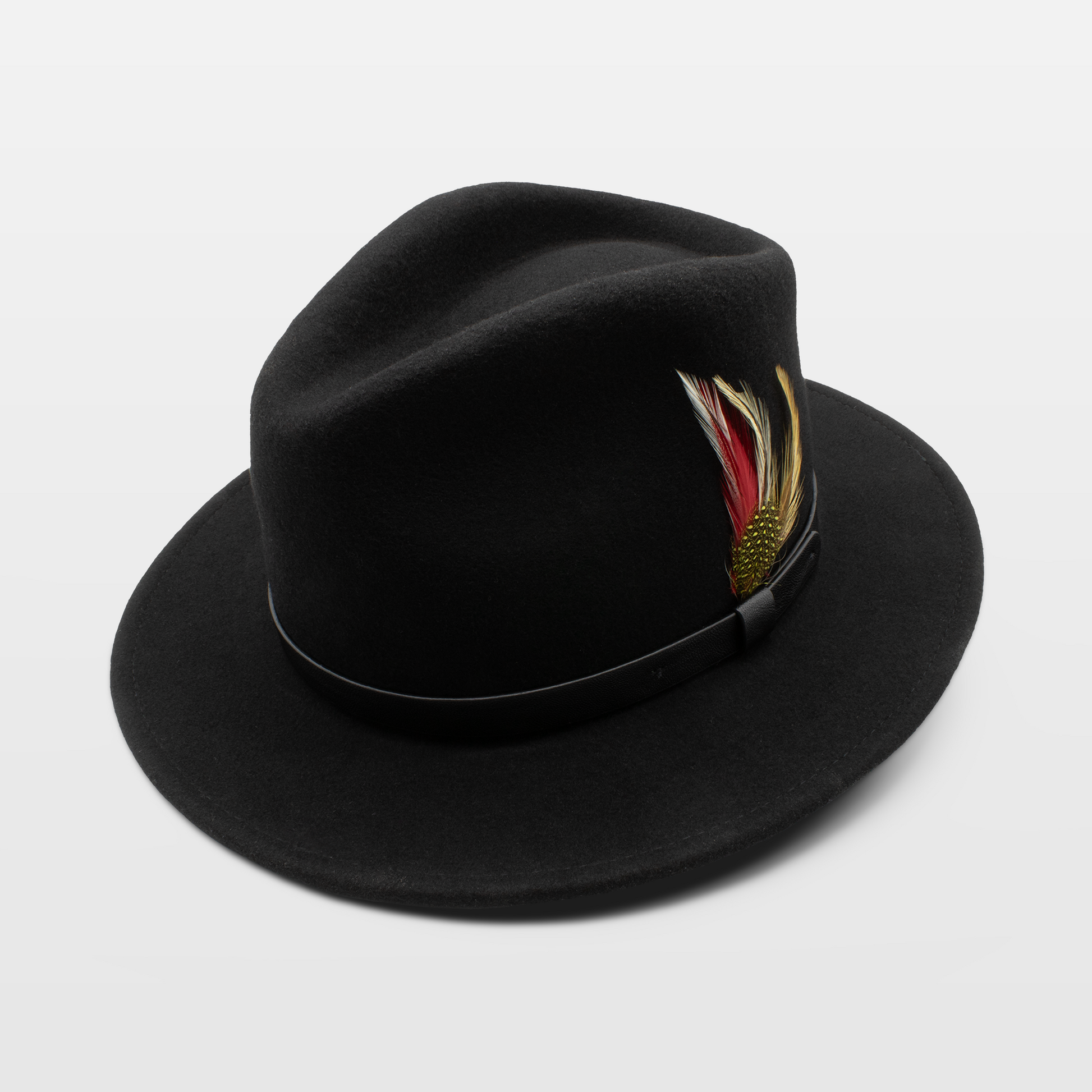 Classic black fedora with a colorful feather accent and sleek black band