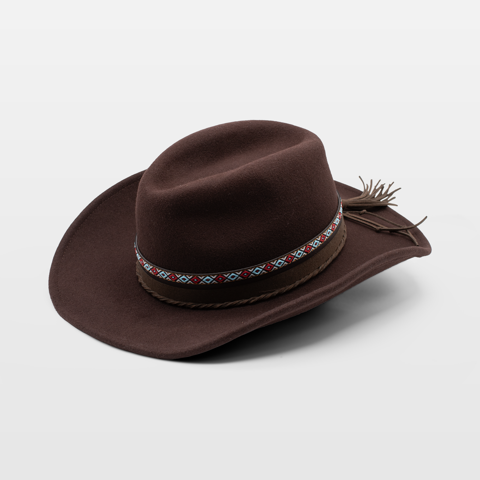 Brown wide-brim hat with geometric band and feather accent