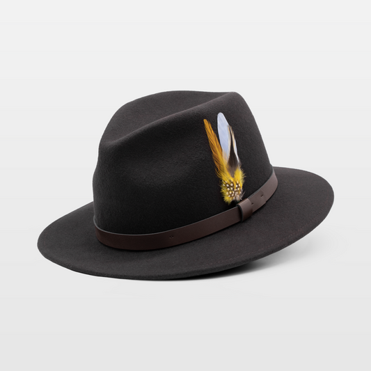 Dark brown fedora with a leather band and a decorative feather on the side