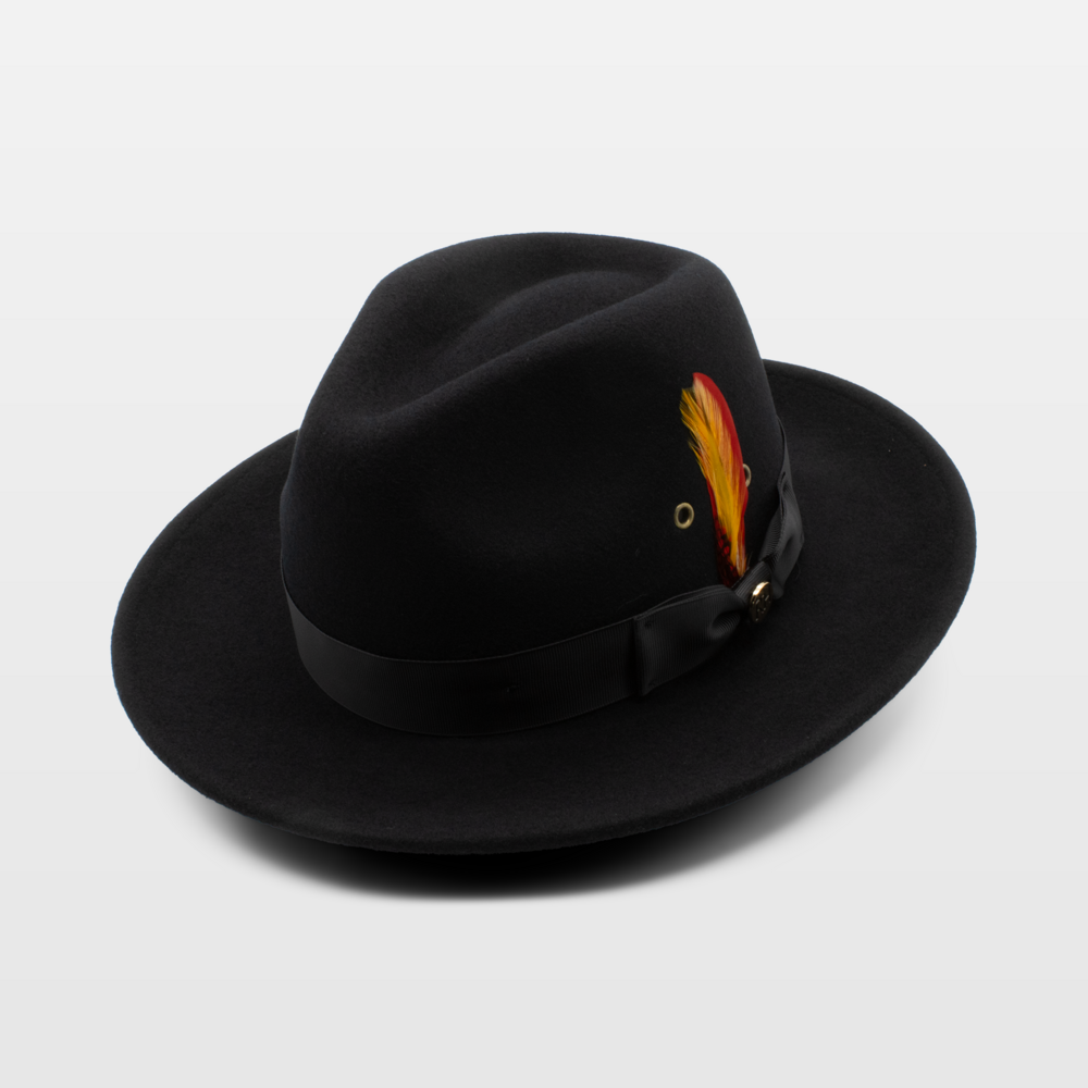 Black wide-brimmed hat with a black band and a decorative feather