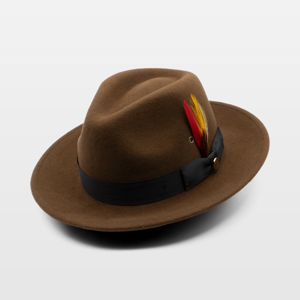 Brown wide-brimmed hat with a black band and a decorative feather