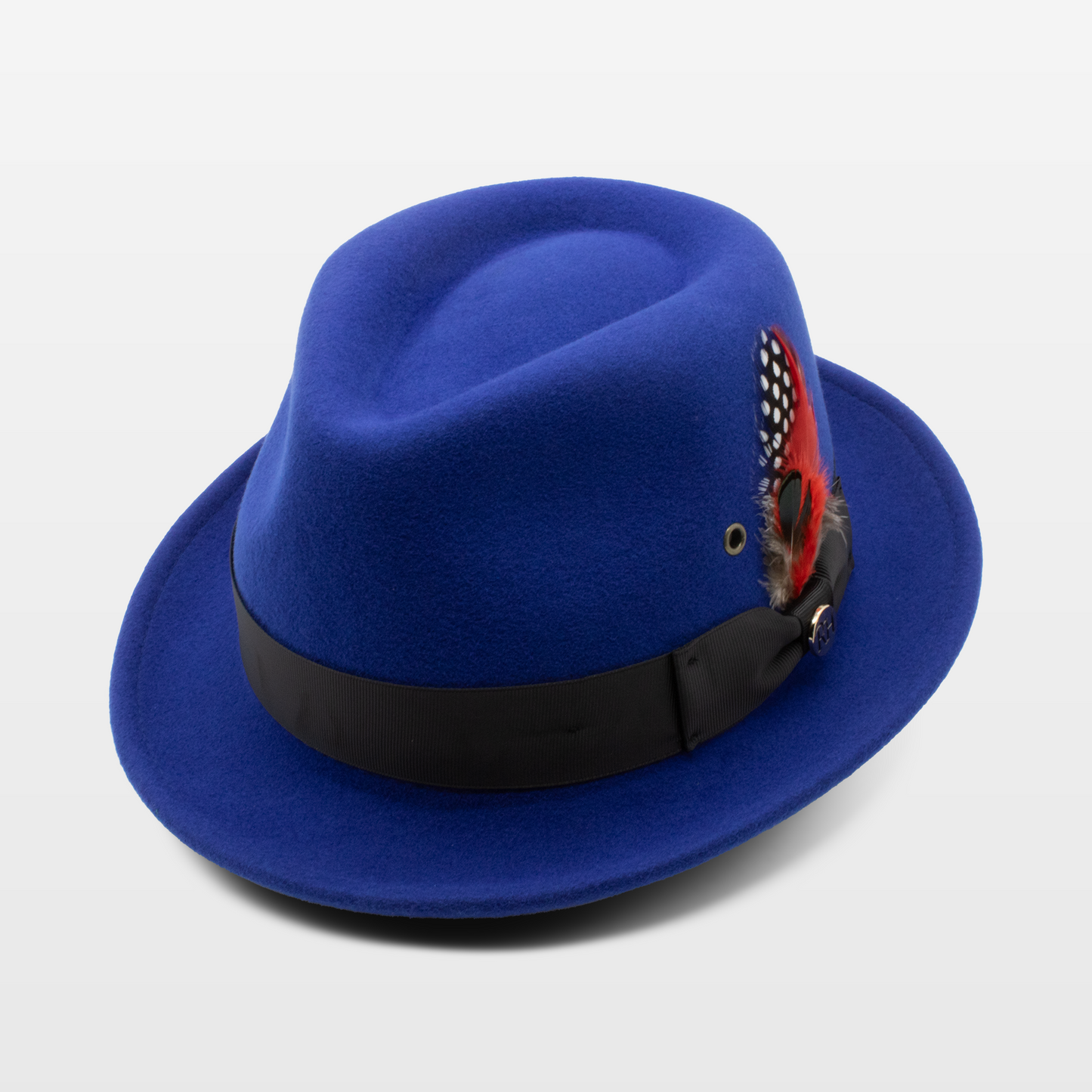 Blue fedora hat with a black band and a decorative feather, featuring red and spotted plumes